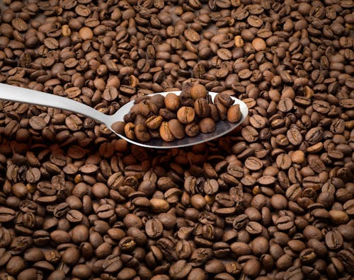 Free Brown Coffee Beans On A Spoon Stock Photo