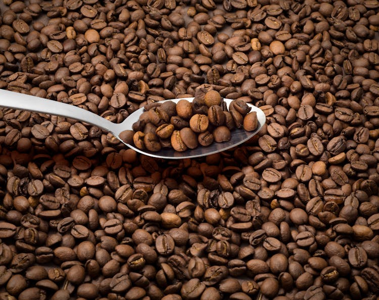 Brown Coffee Beans On A Spoon