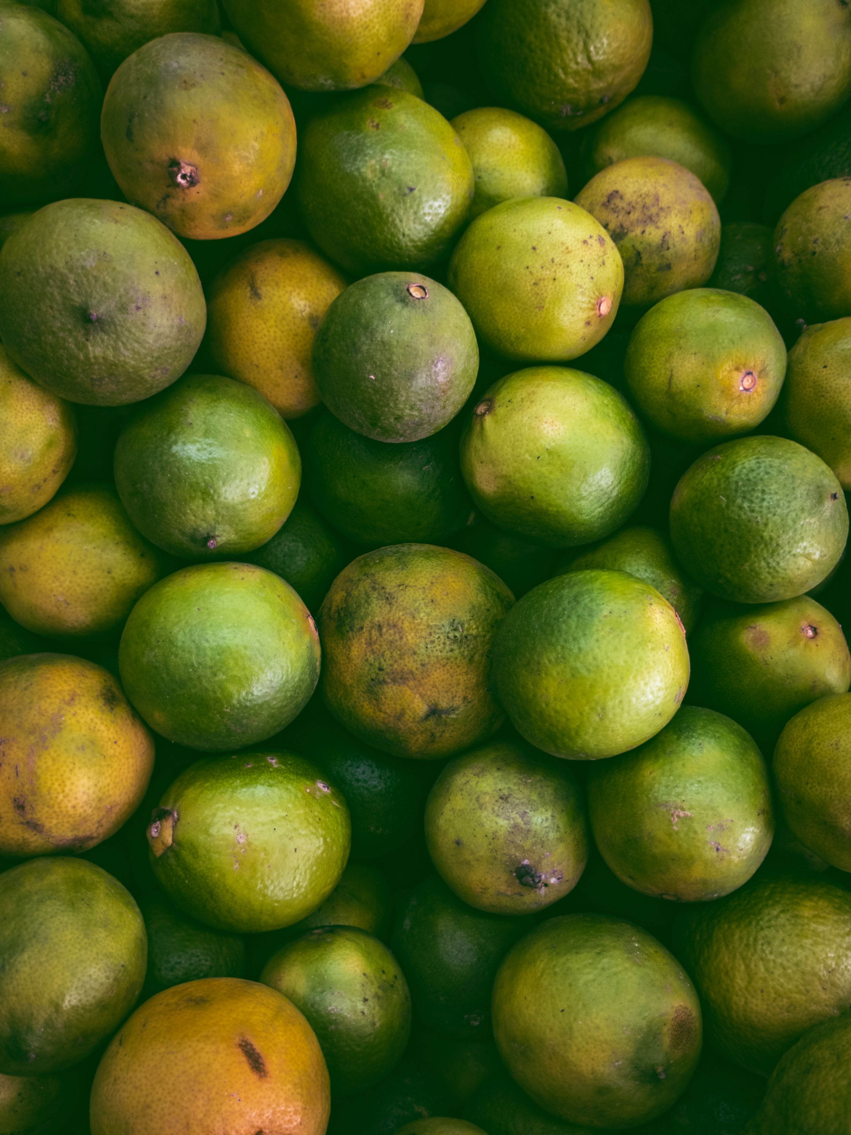A vibrant top-down view of a pile of fresh green citrus fruits like limes or lemons.