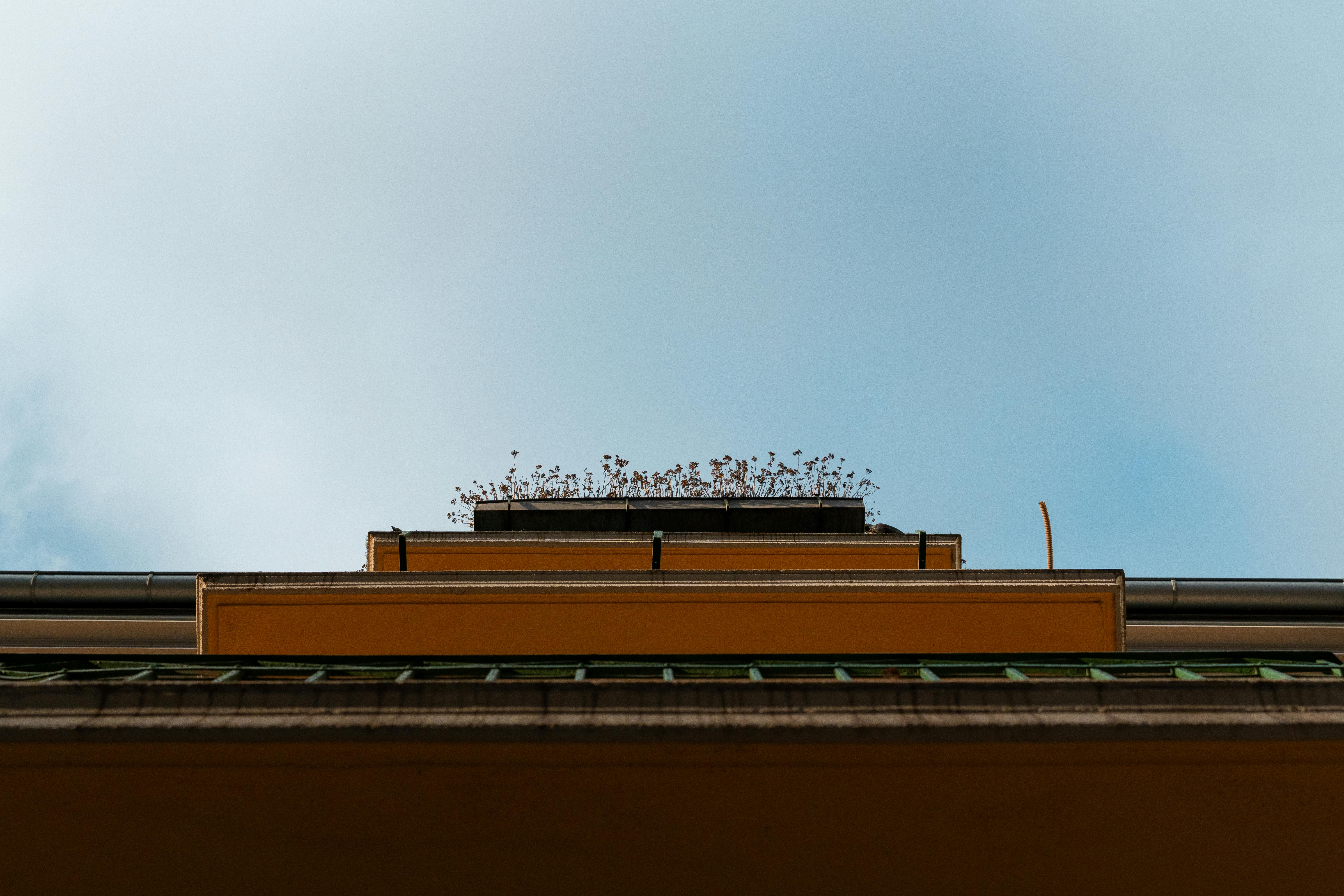 Gratis Vista dal basso della facciata di un edificio con piante sul tetto sotto un cielo limpido. Foto a disposizione