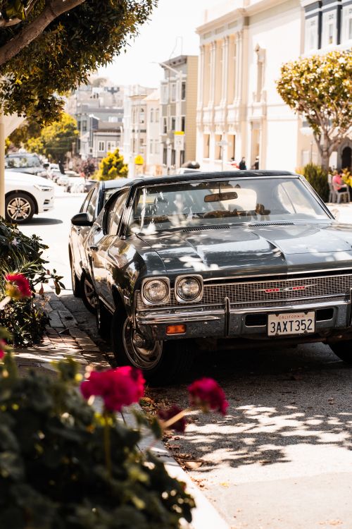 Free A classic car parked on a sunny street in San Francisco, showcasing urban charm and vintage appeal. Stock Photo