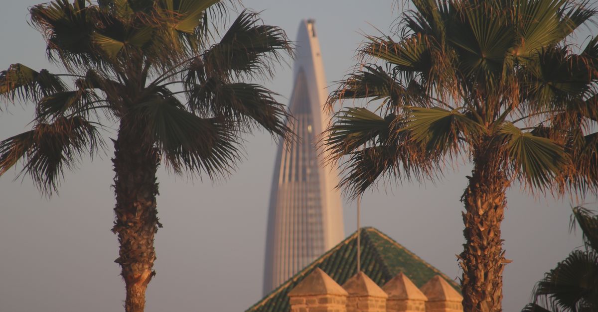 Palm Tree Rent Riyadh Modern Tower Behind Palm Trees in Riyadh · Free Stock Photo