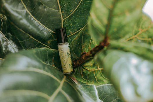 Eucalyptus essential oil bottle nestled among lush green leaves, showcasing natural healthcare products.