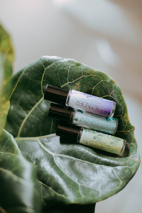 Free Three essential oil bottles with lavender, peppermint, and eucalyptus on a lush green leaf. Stock Photo