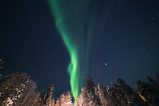 Stunning aurora borealis lights up the night sky above a snowy forest, creating a breathtaking spectacle.