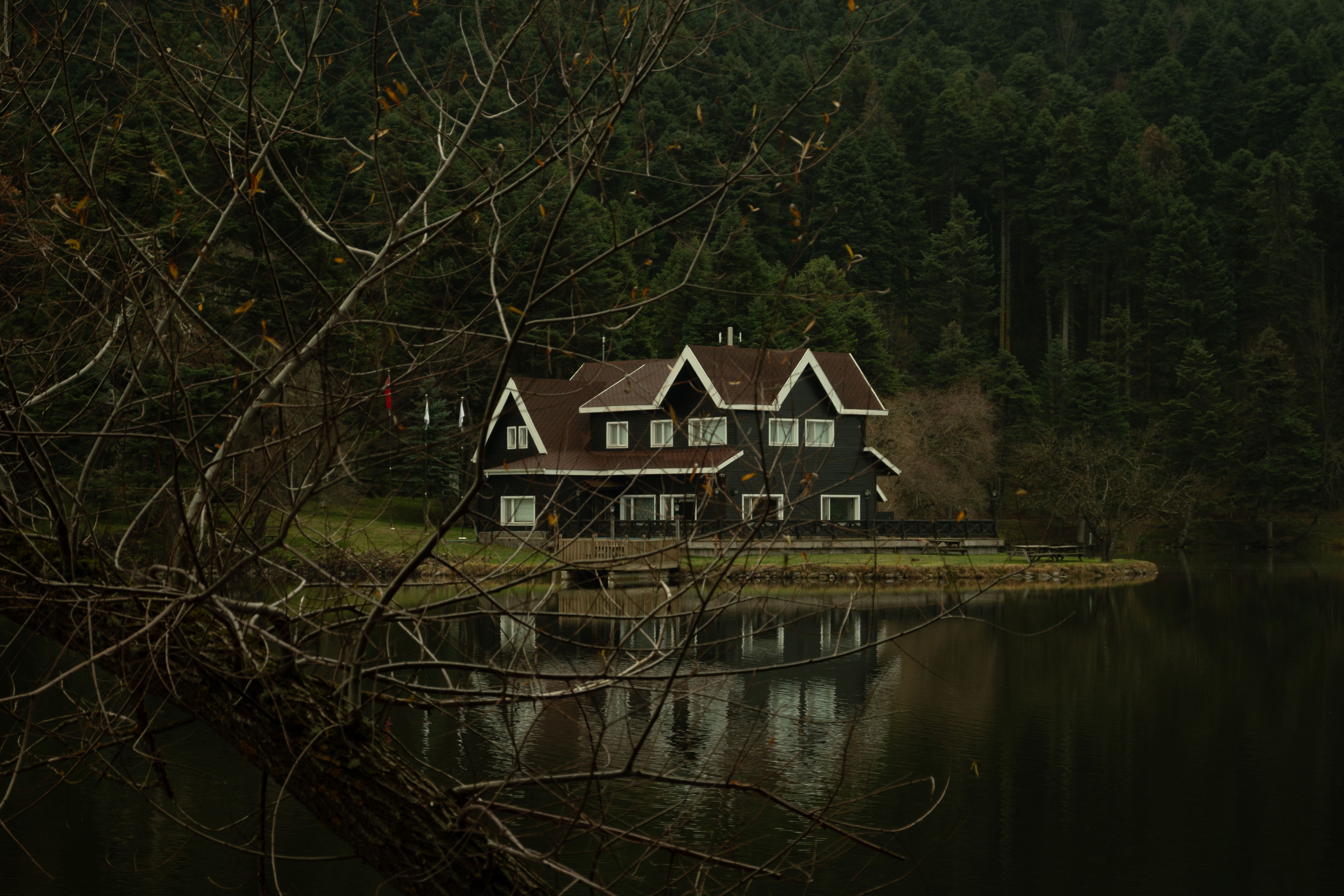 The Energy Vampires Haunting Your Home — Photo by ilayda 0700 on Pexels