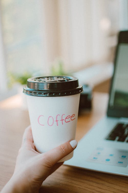 Free Photo of Person's Hand Holding Disposable Cup Stock Photo