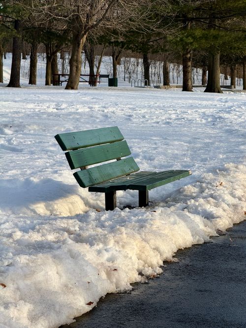Free A green bench in a snowy park, capturing the serene beauty of winter outdoors. Stock Photo