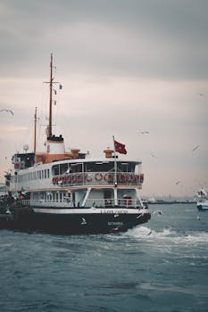 阴天，伊斯坦布尔港口的渡轮被海鸥包围，展现了海上交通的景象