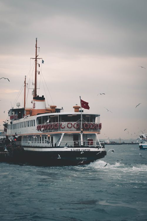 Things to Do When Considering a Theme Cruise Vacation Things to Do When Considering a Theme Cruise Vacation