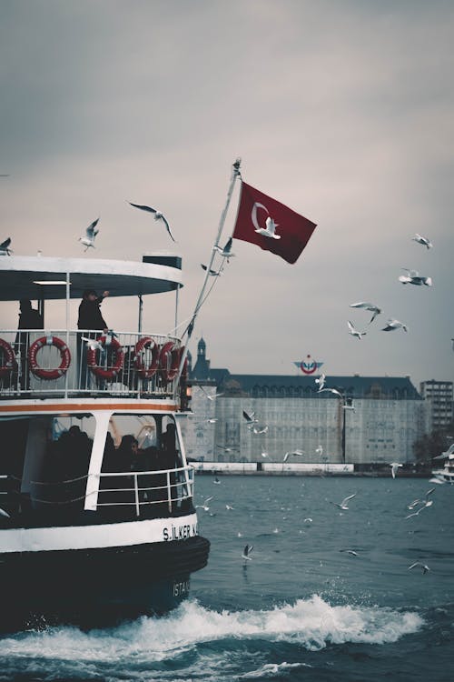 White and Red Ship on Sea