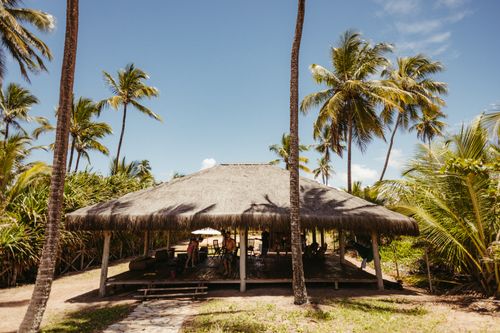 Free Charming thatched beach hut surrounded by palm trees in Maraú, Bahia, Brazil under a clear blue sky. Stock Photo