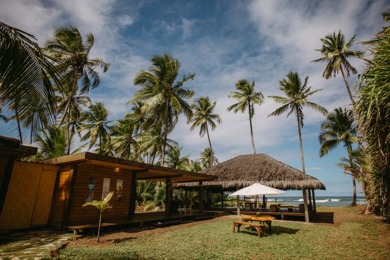 Palm-shaded beach cabins by the sea — Jonathan Borba on Pexels