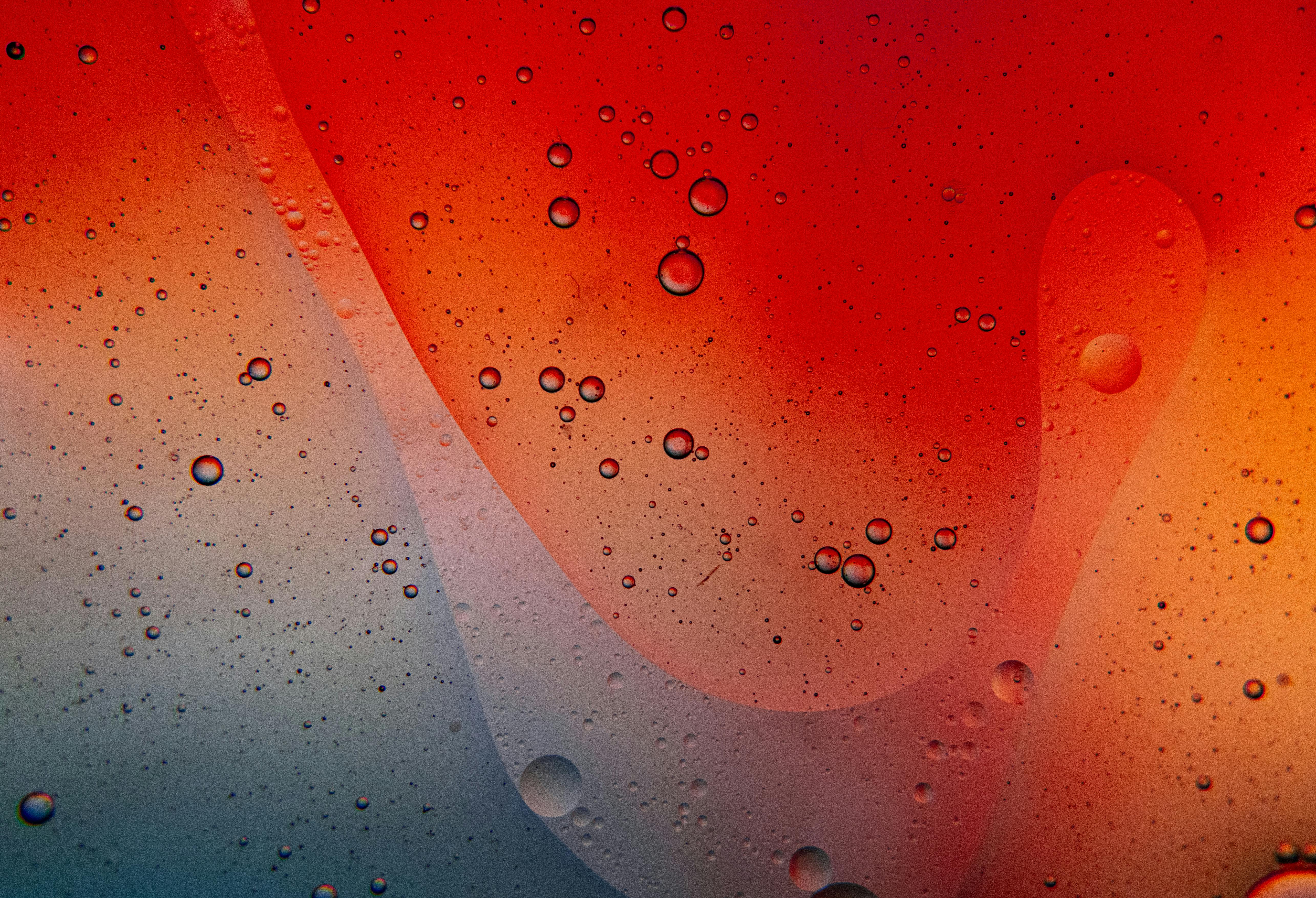 Gratis Foto astratta colorata di olio e acqua che si mescolano, creando vivaci motivi a bolle nelle tonalità del rosso e del blu. Foto a disposizione