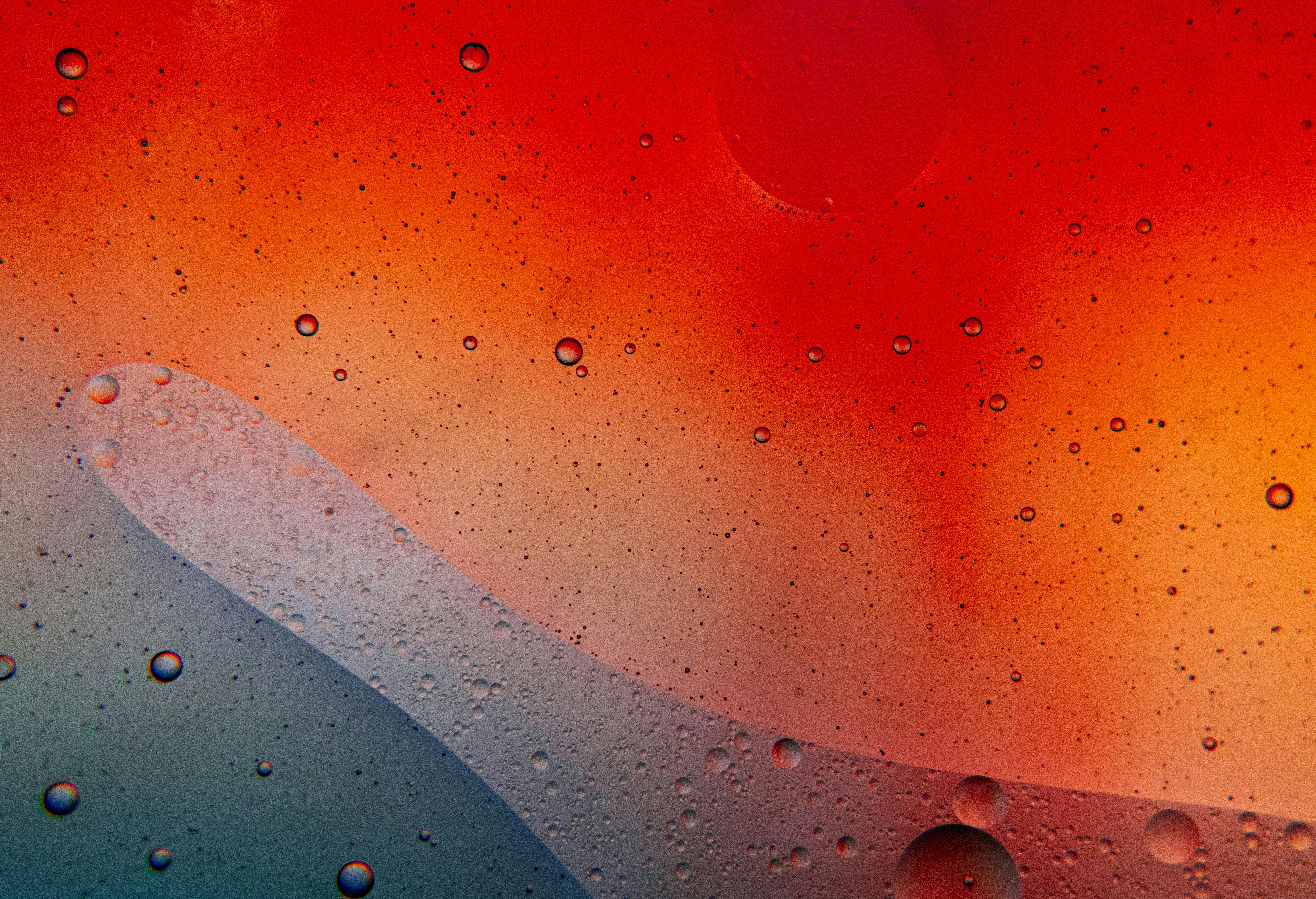 Free Intriguing abstract image of oil and water interaction with vivid red and orange hues. Stock Photo