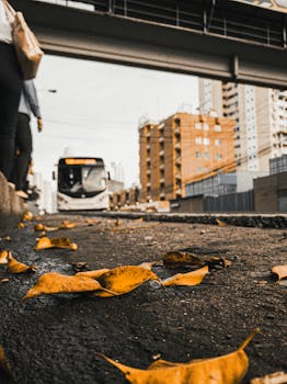 秋叶低垂的城市街道上，一辆公交车驶来