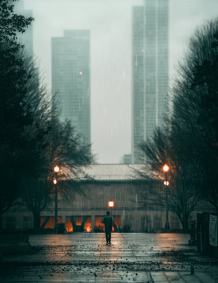 People Standing On Pavement During Rainy Day