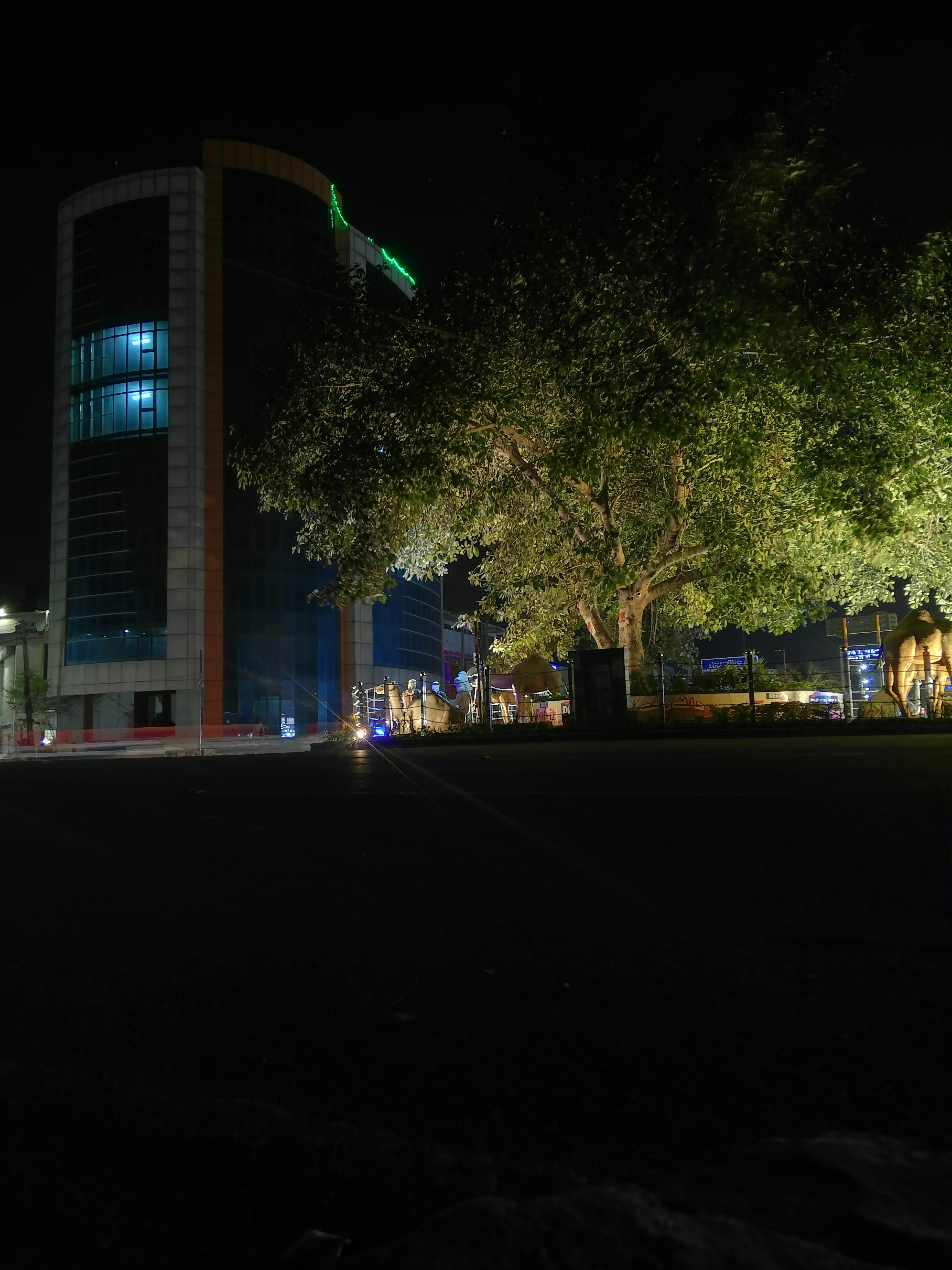 FlexiSort Modular Bins