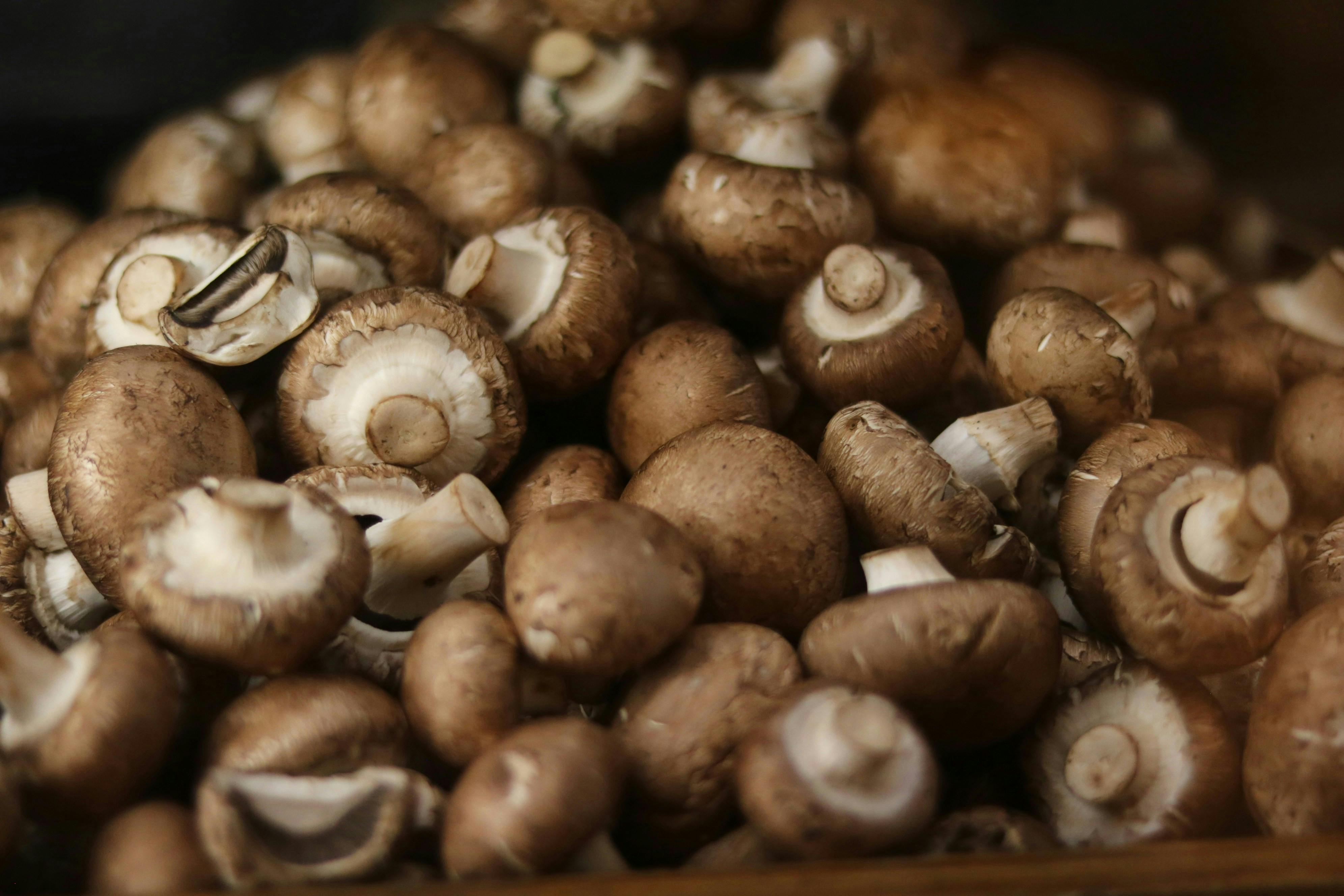 為什麼大安農會的黑木耳產品能在飛天豬生活館上架？