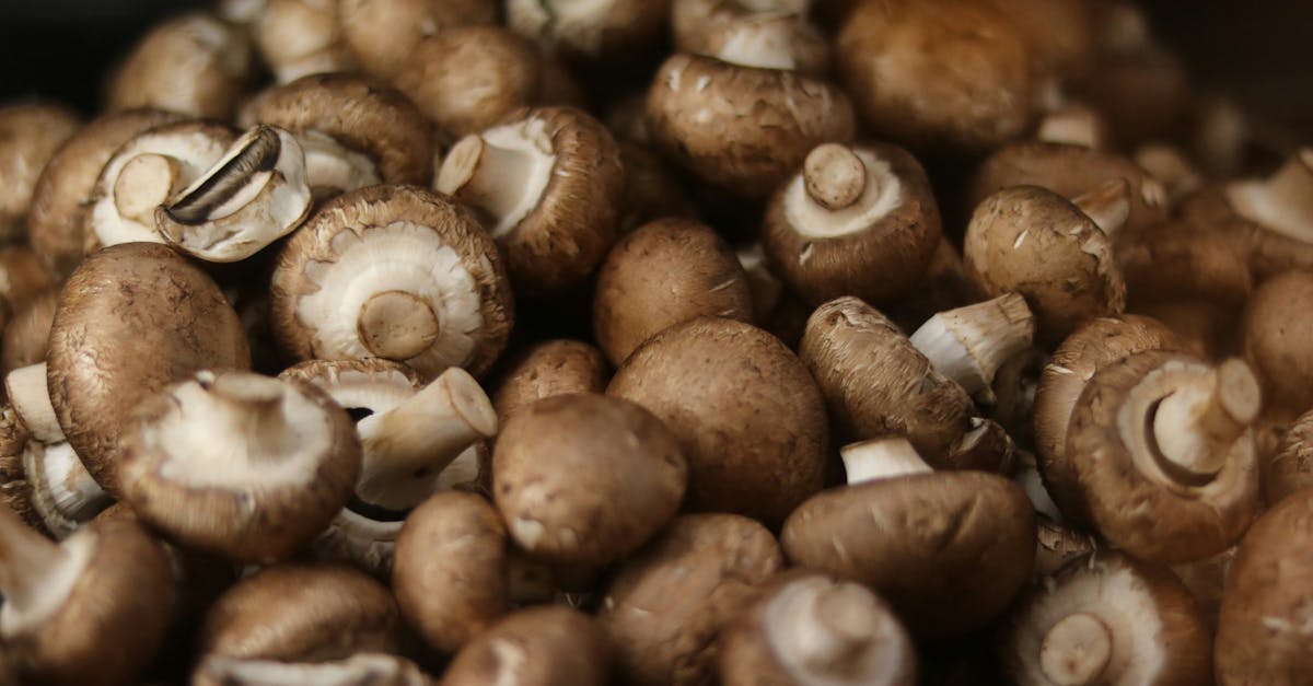 為什麼大安農會的黑木耳產品能在飛天豬生活館上架?