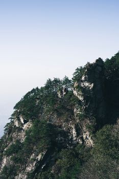 A breathtaking view of a rocky mountain cliff covered with lush green pines under a clear blue sky.