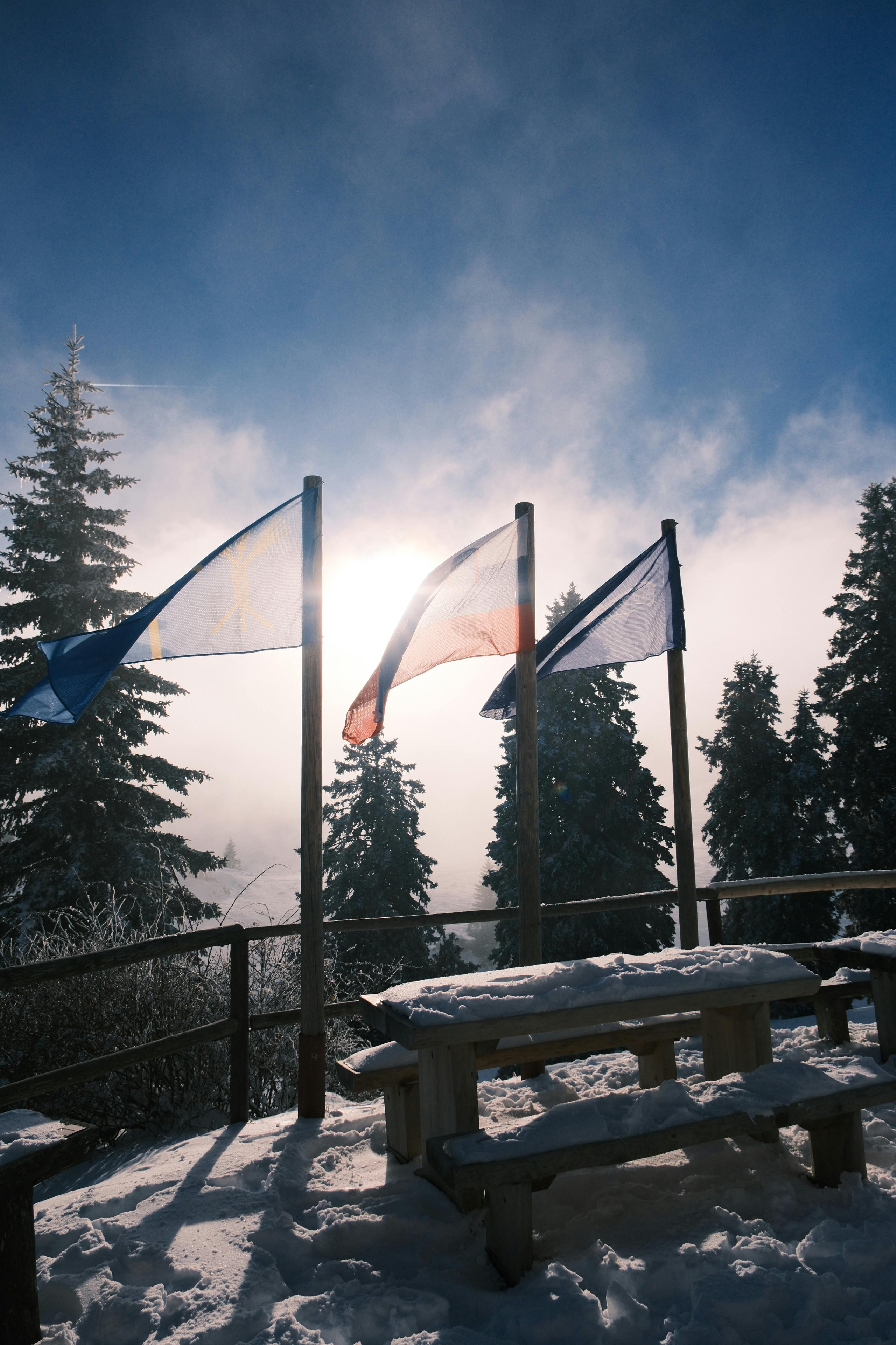 ฟรี ภาพทิวทัศน์หิมะที่อาบแสงแดด มีธงและต้นสนในฤดูหนาว คลังภาพถ่าย