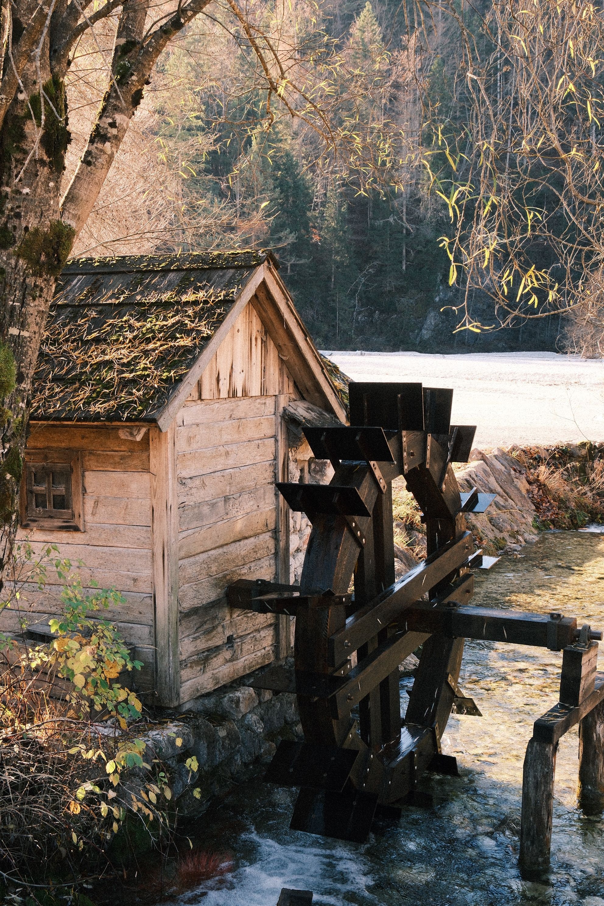 Rustic Watermill by a Forest Stream · Free Stock Photo