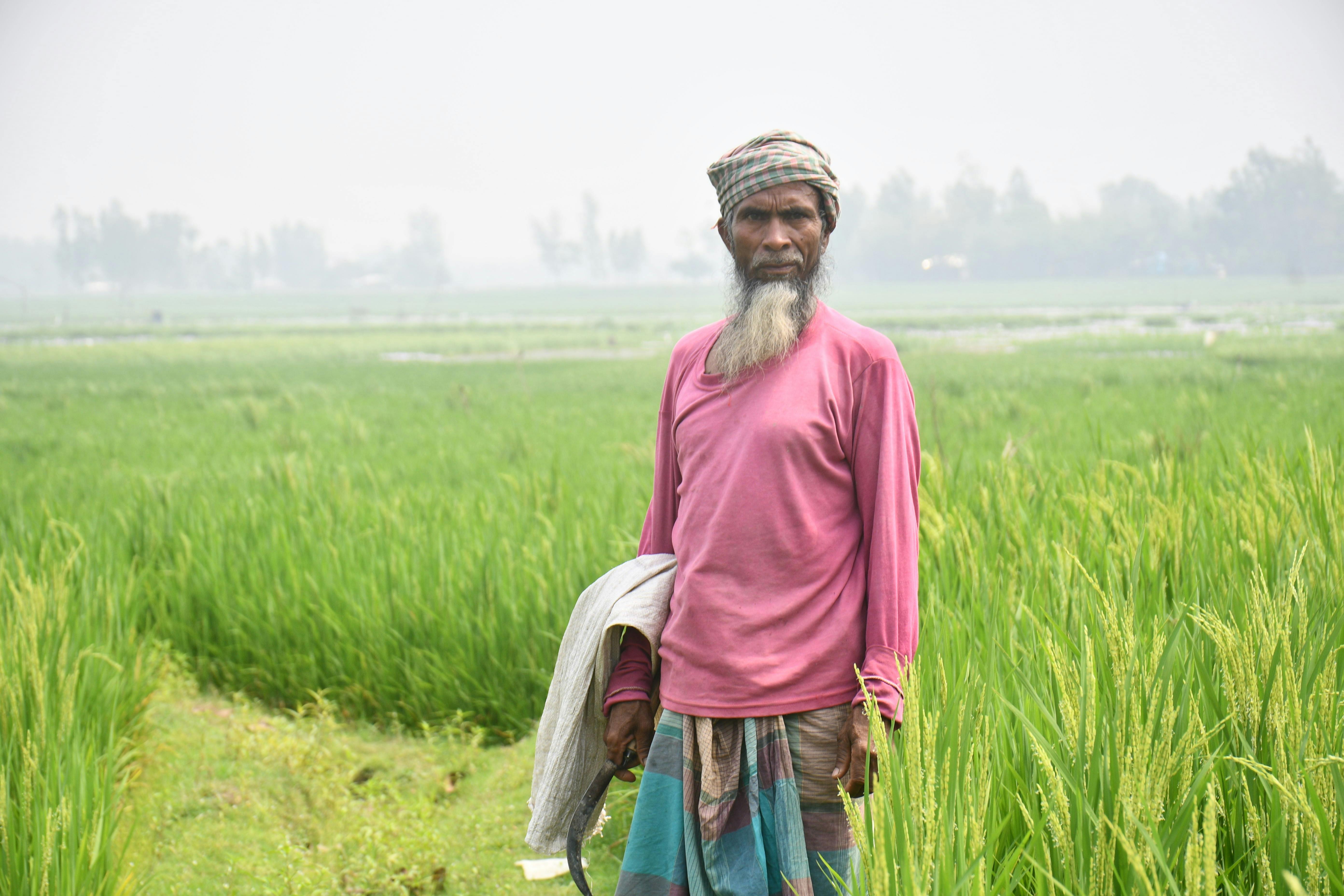 Farmers Broaden Risk Strategies Beyond Crop Insurance Programs - RFD-TV — Photo by masudar rahman on Pexels