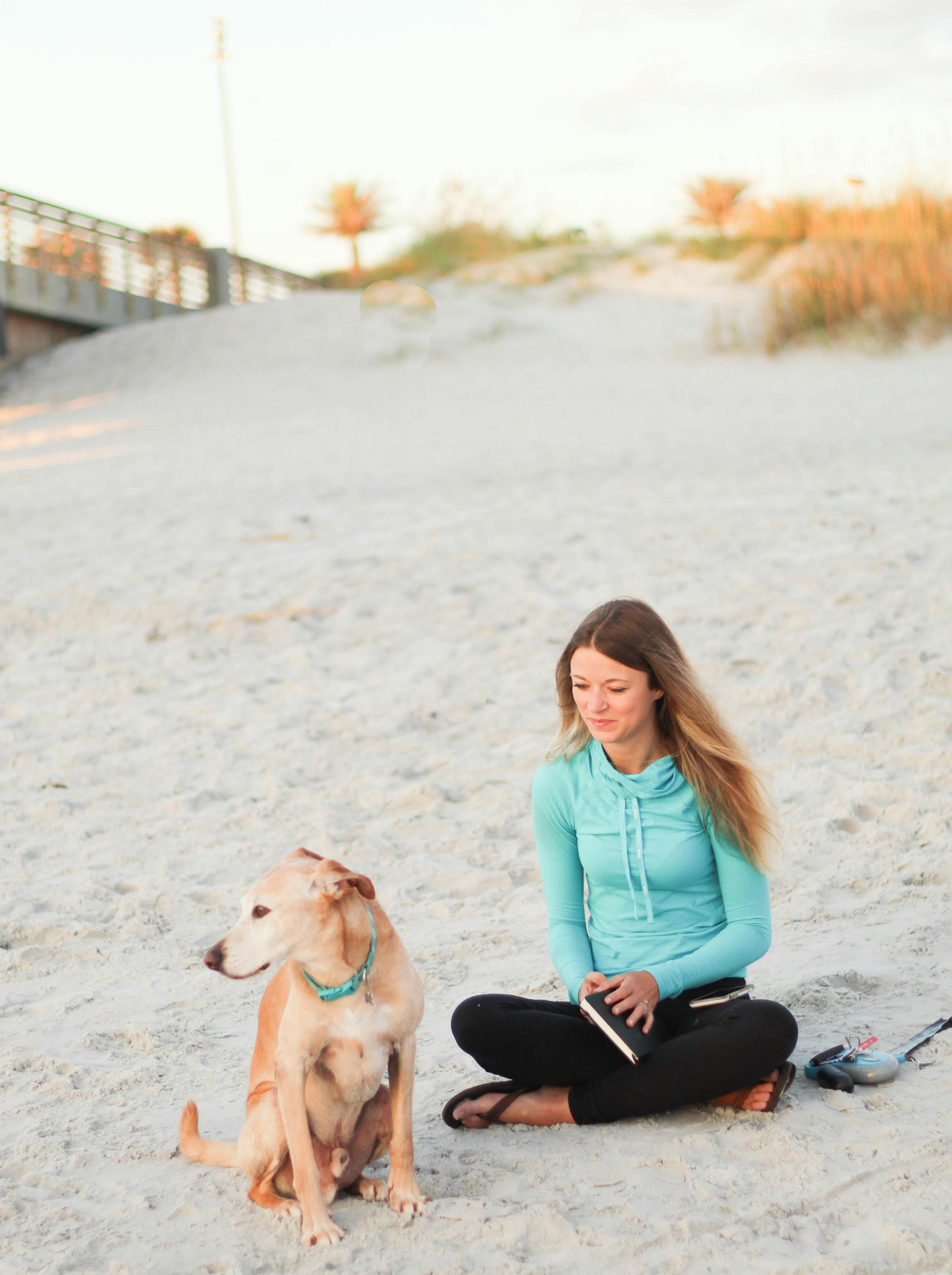 年轻女子和她的狗坐在海滩上，享受这宁静的自然时刻