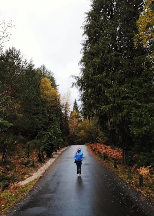 Person Standing on Road Near Trees