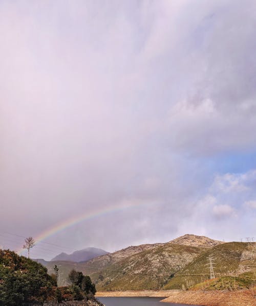 白い雲の下の山の緑の木々