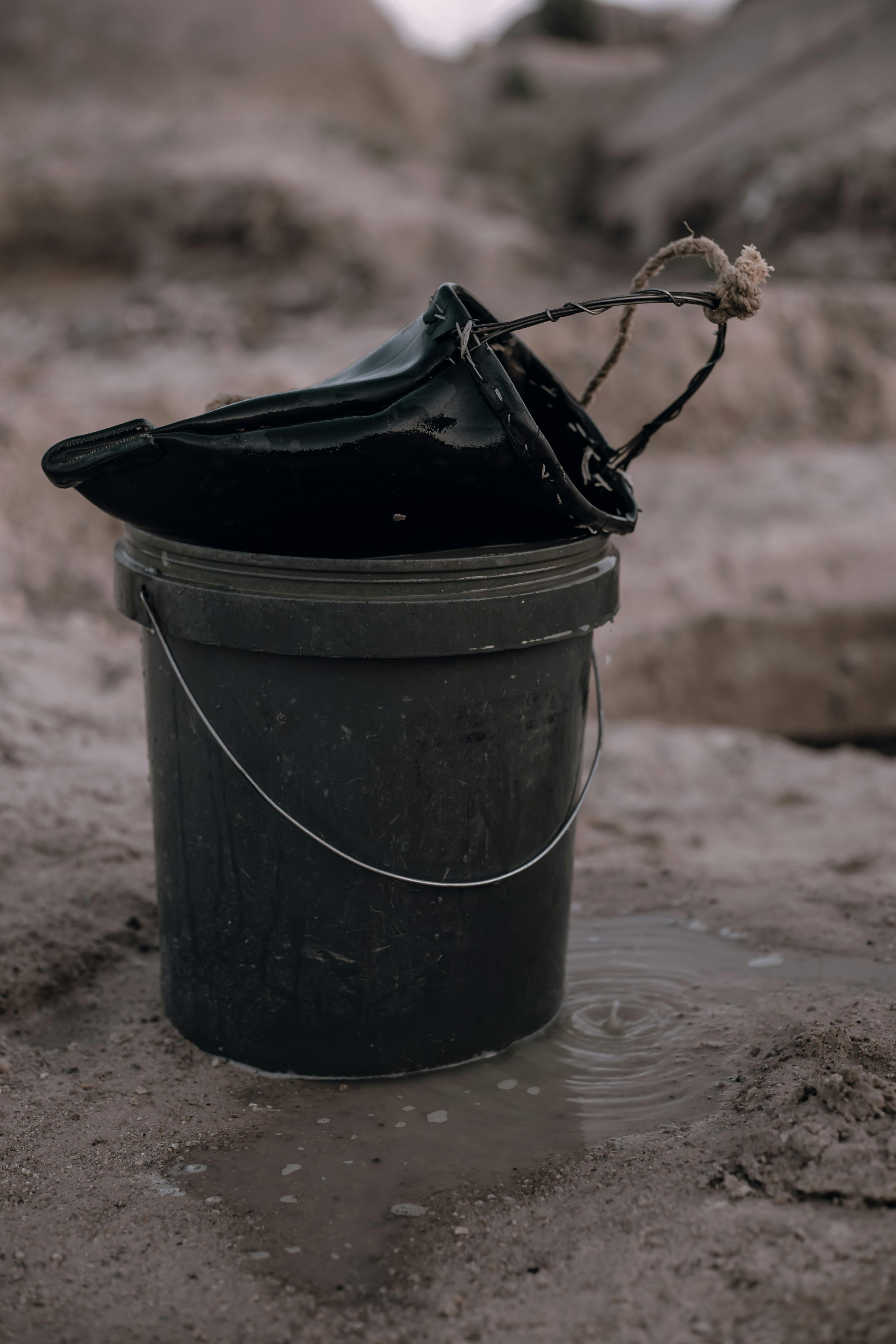 The Basic Survival Guide