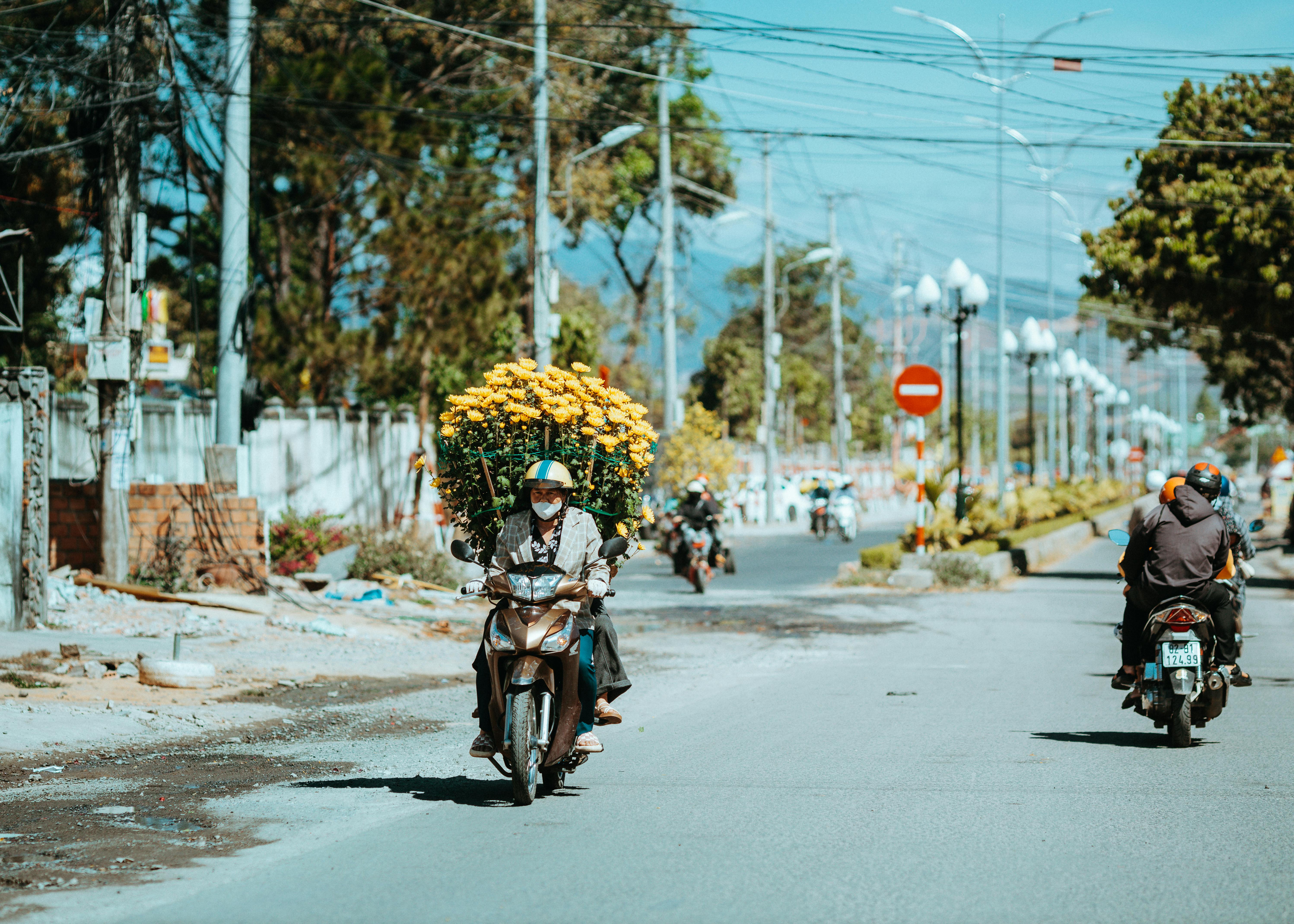 雞蛋花綻放表面寧靜，實際上卻是新住民適應生活的挑戰