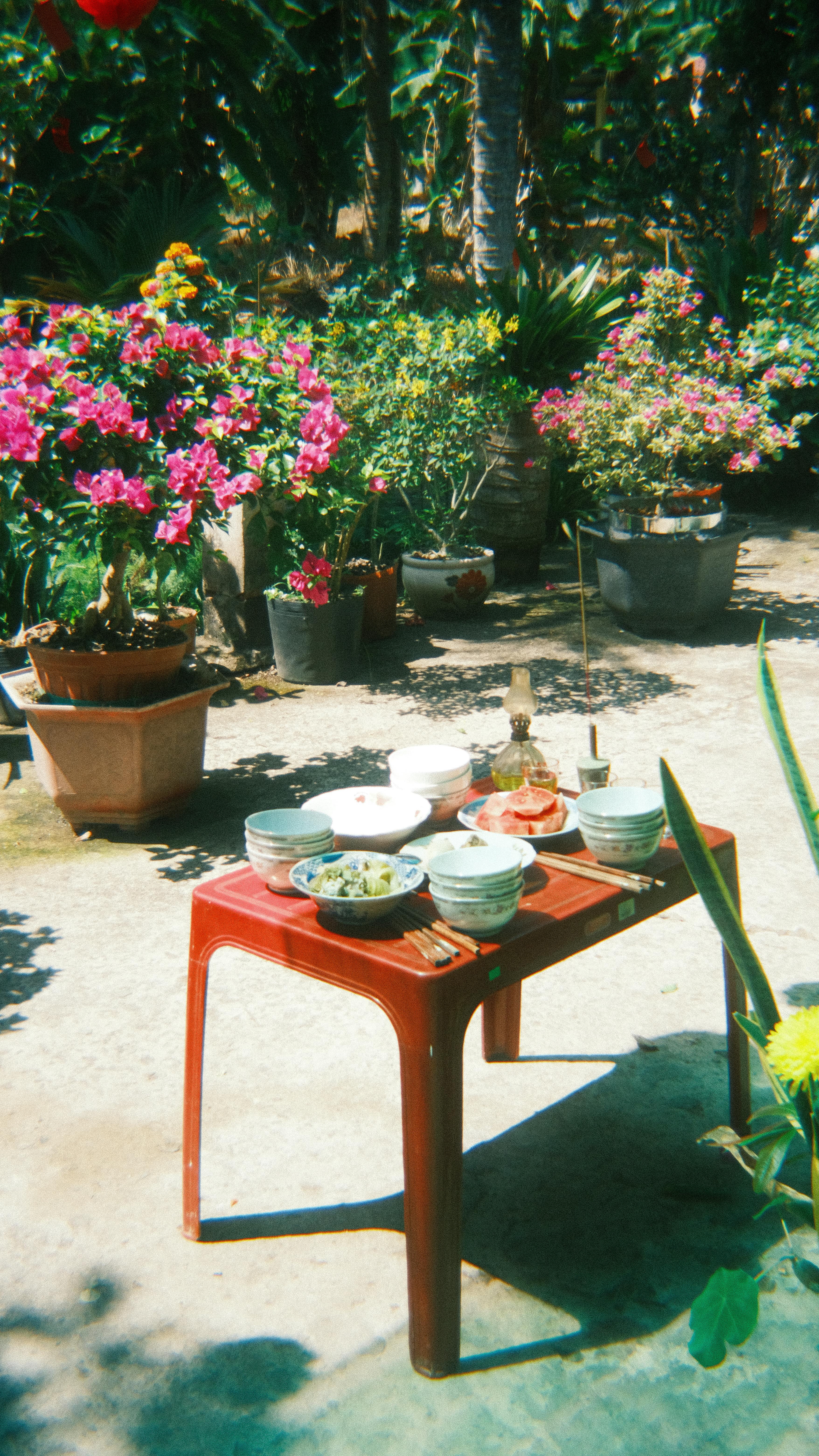 Kostenlos Eine bezaubernd gedeckte Tafel, umgeben von farbenprächtigen Blumen in einem sonnigen Garten. Stock-Foto