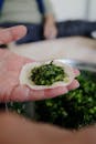 Close-up of Hand Preparing Dumpling with Greens