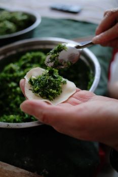 Hands preparing homemade dumplings filled with fresh herbs in an intimate kitchen setting.