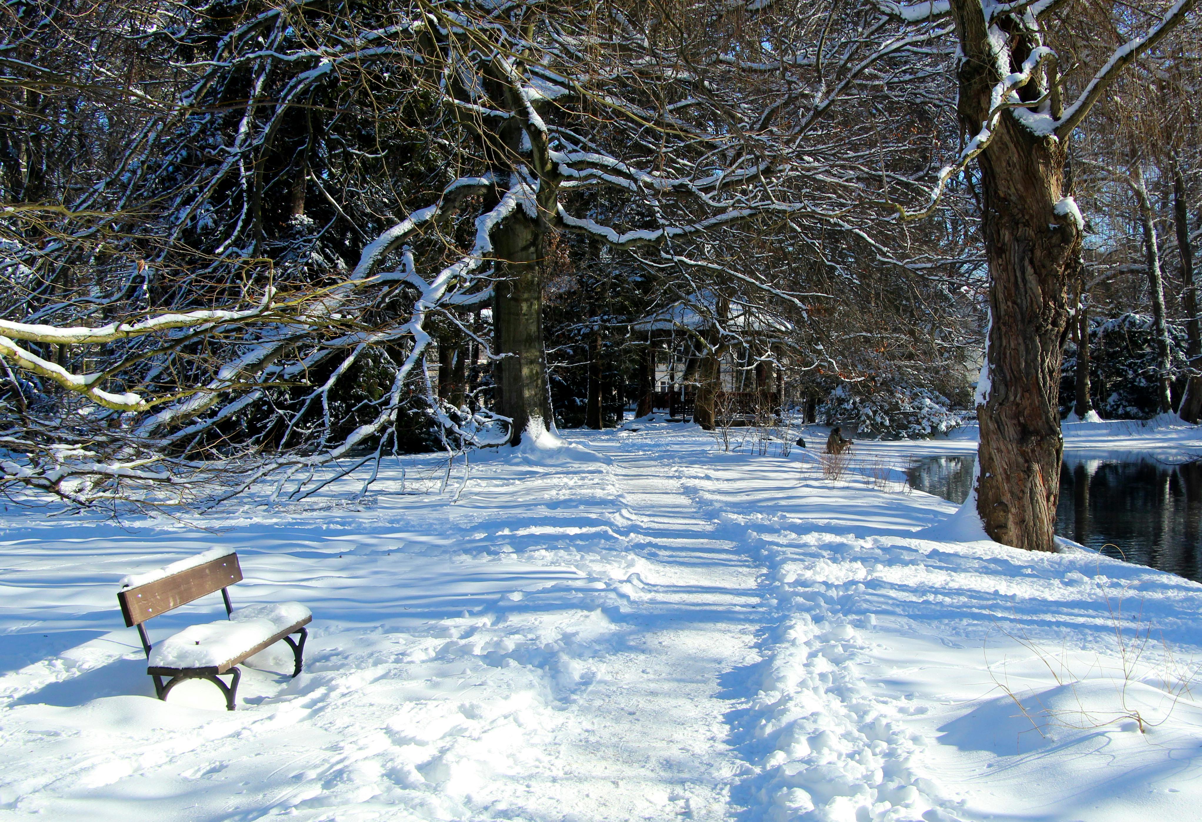 ฟรี คลังภาพถ่ายฟรี ของ @กลางแจ้ง, กลางแจ้ง, ความงามของธรรมชาติ คลังภาพถ่าย