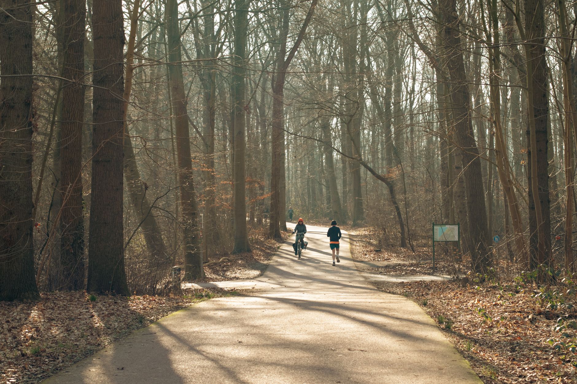 Die Sonntagsläufer im Stadtpark