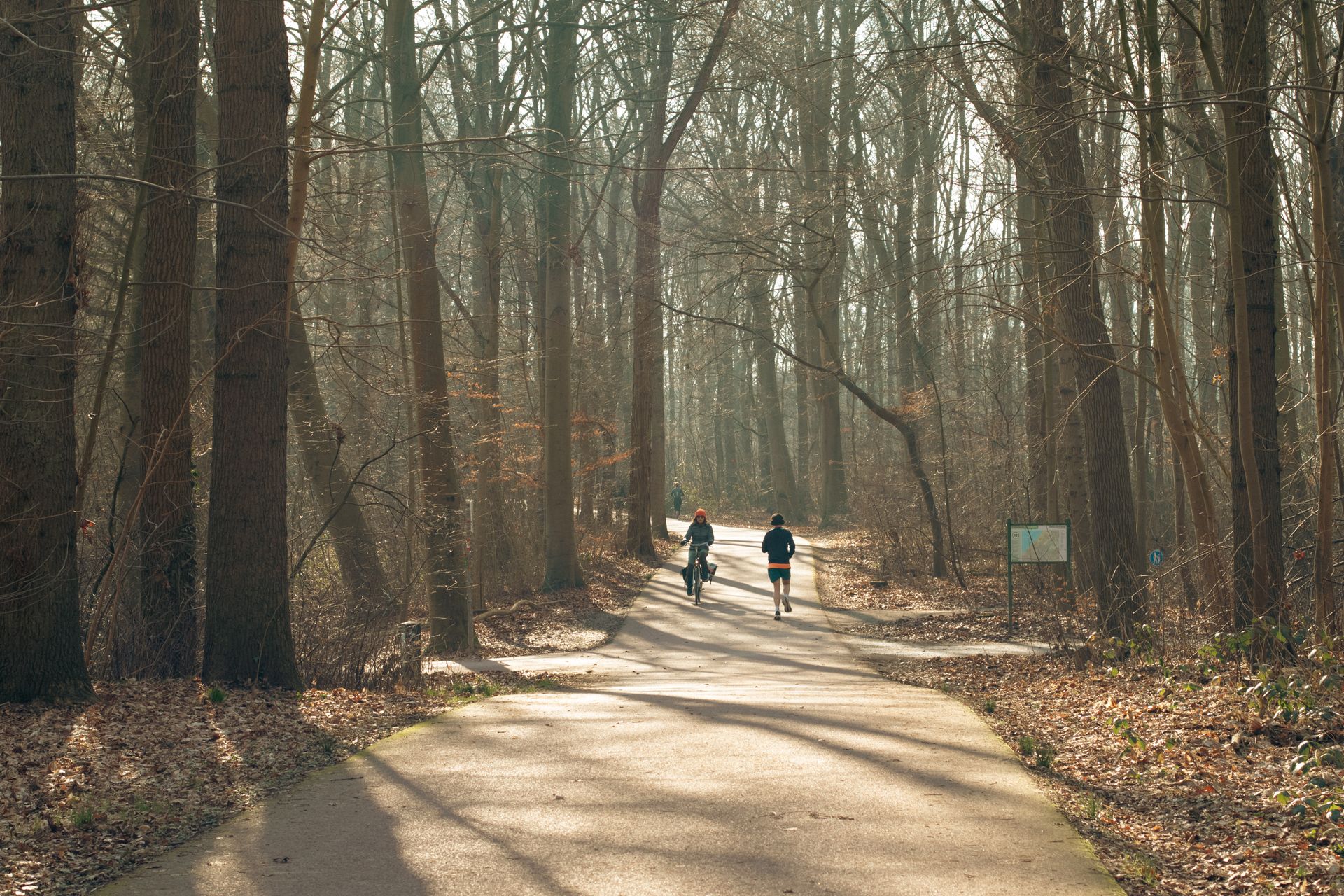 Un chemin dans un parc utilisé pour la marche rapide