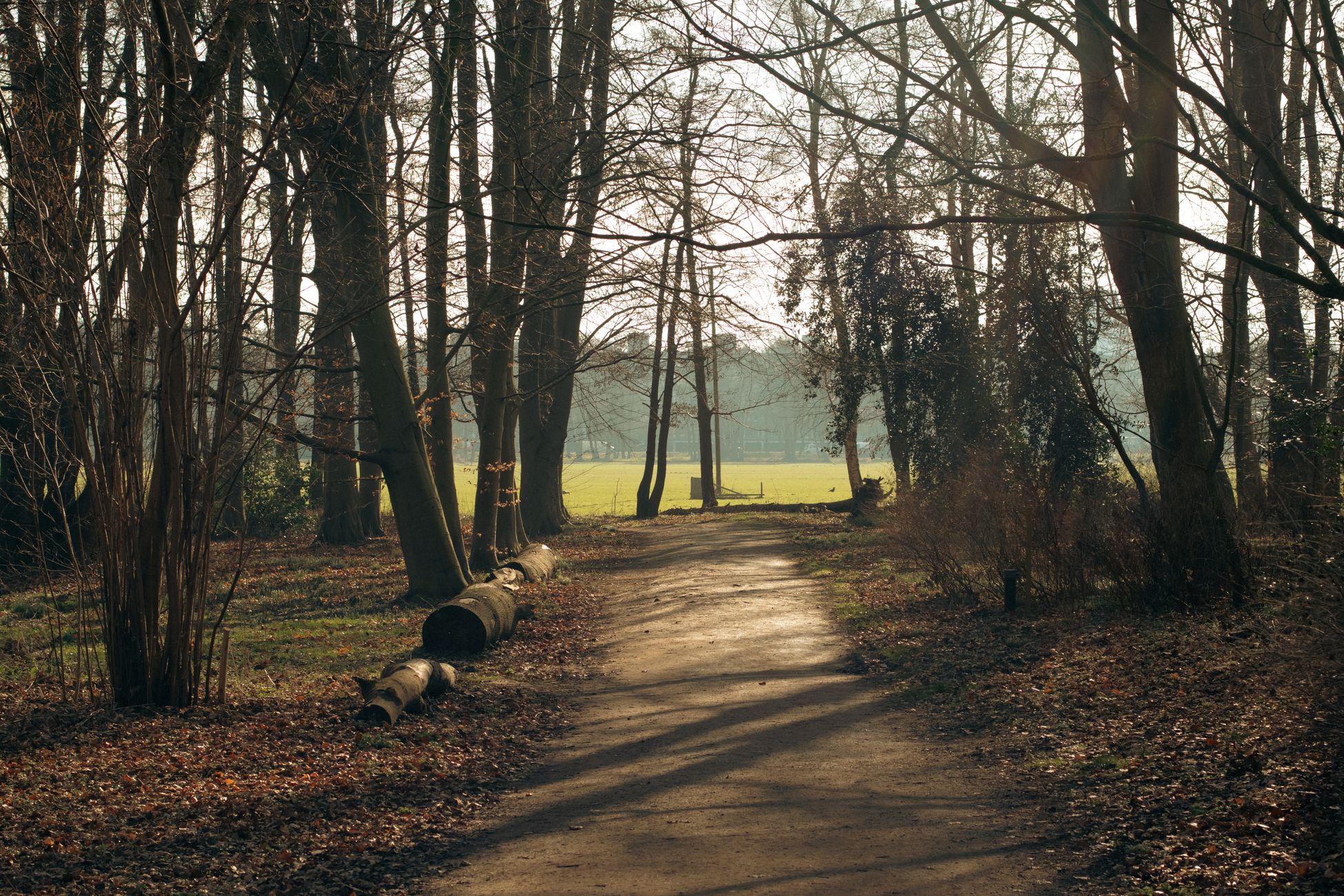 Column over alledaagse irritaties en de troost van de natuur