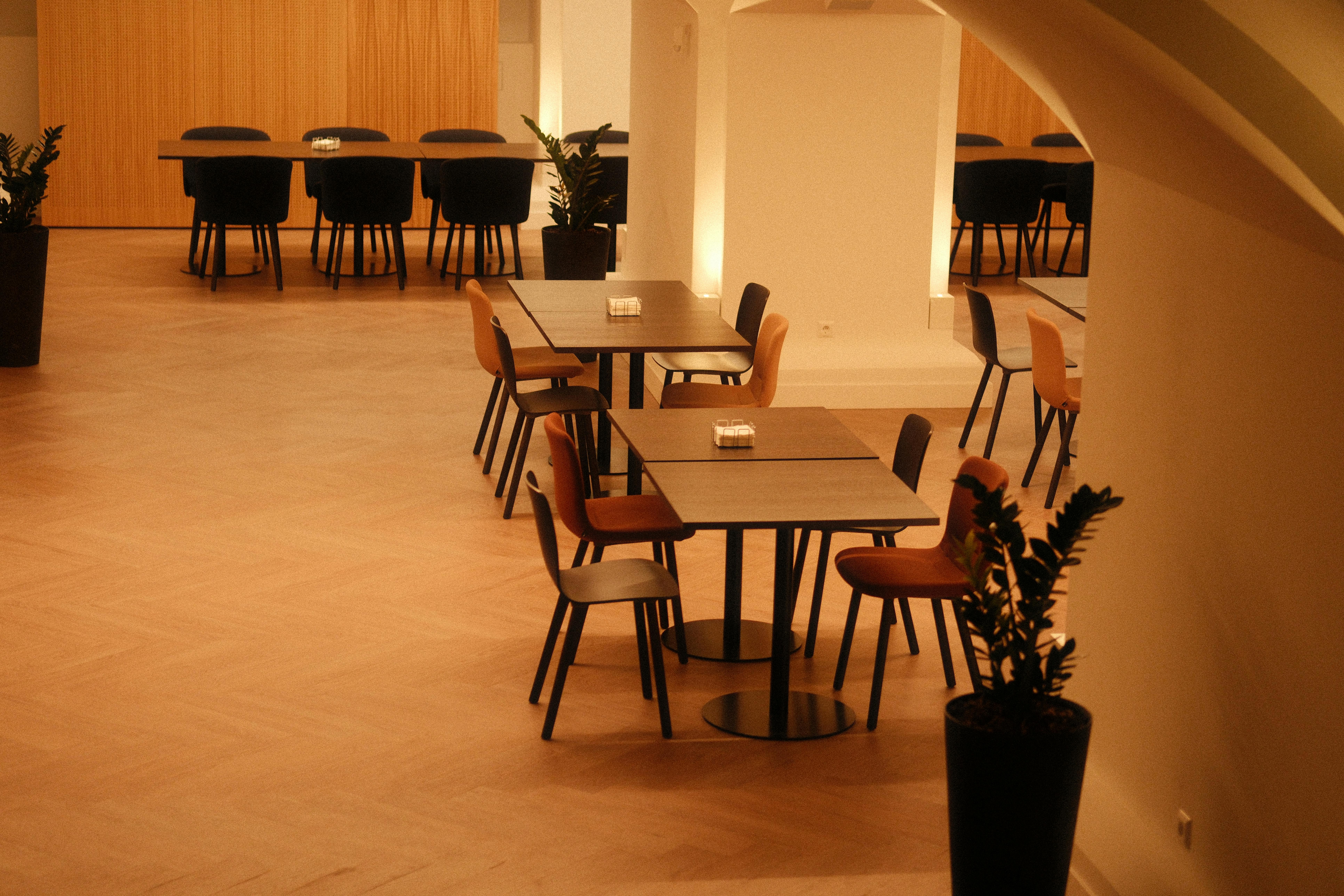 Gratis Interior de cafetería cálido y elegante con muebles de estilo minimalista e iluminación suave. Foto de stock