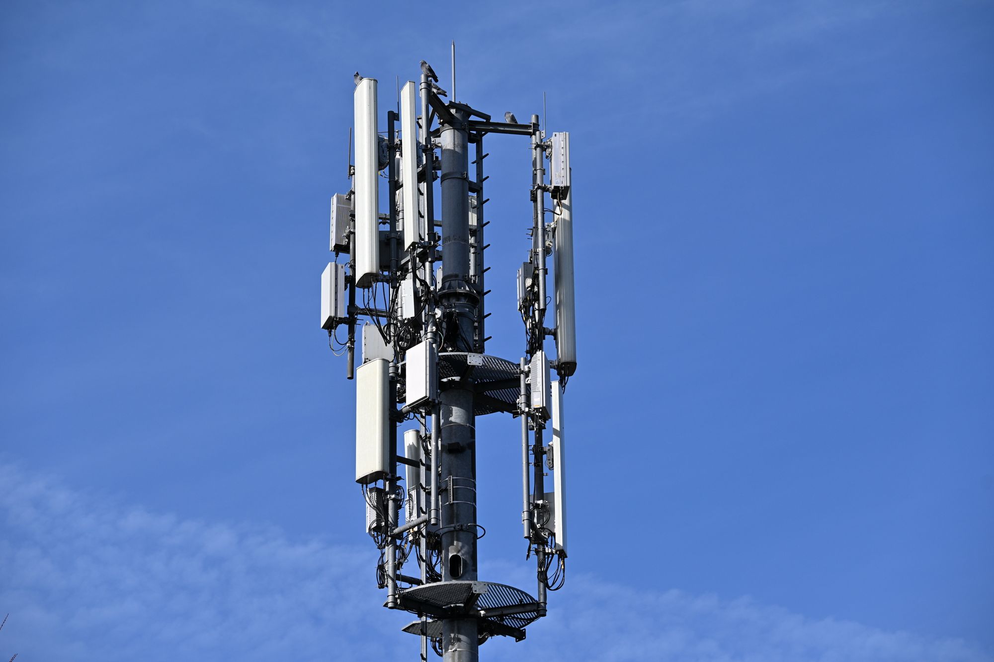 Antena de celda pequeña montada en un poste de una calle urbana