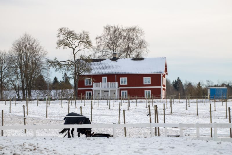 Röd gård i vinterlandskap