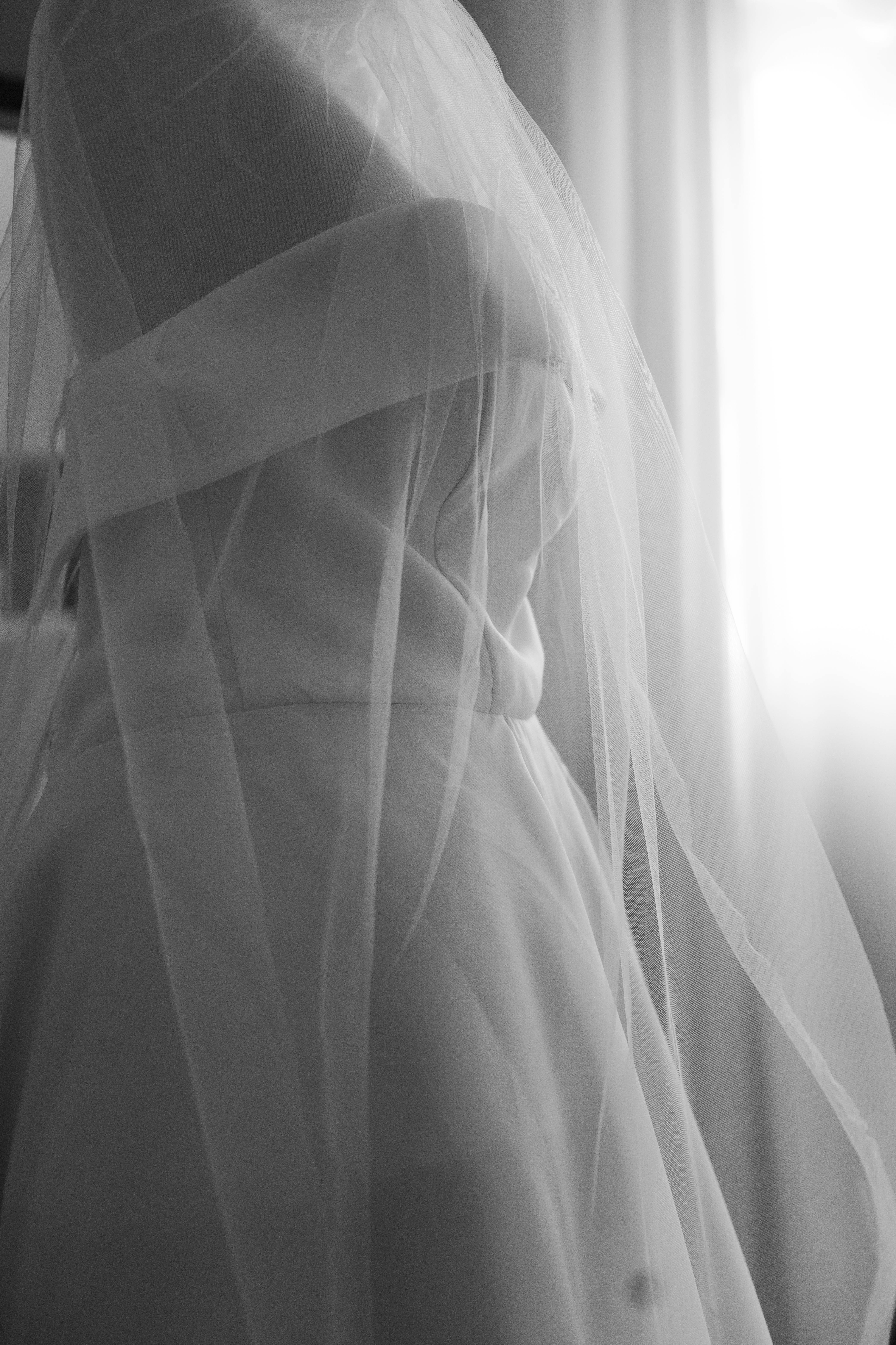 Free Ethereal black and white bridal silhouette showcasing elegant wedding gown and veil. Stock Photo