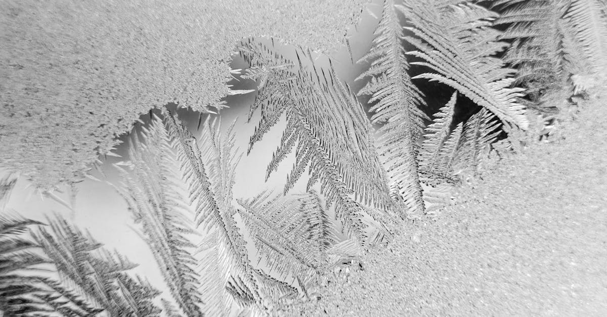 新潟与山形的雪季旅游攻略 新潟与山形的雪季旅游攻略