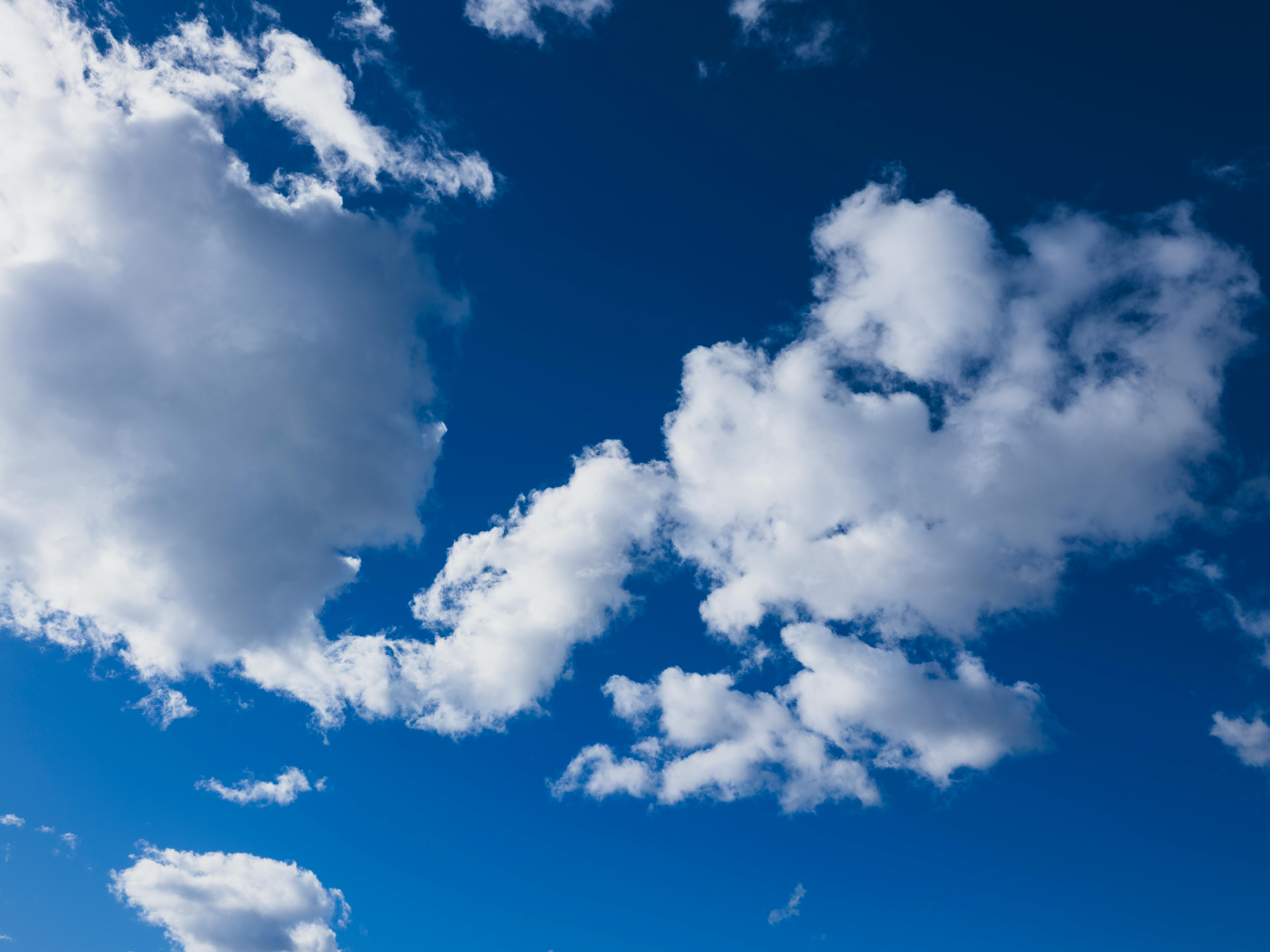OpenCLaw on AMD Developer Cloud: Free Deployment with Qwen 3.5 and SGLang — Photo by Engin Akyurt on Pexels