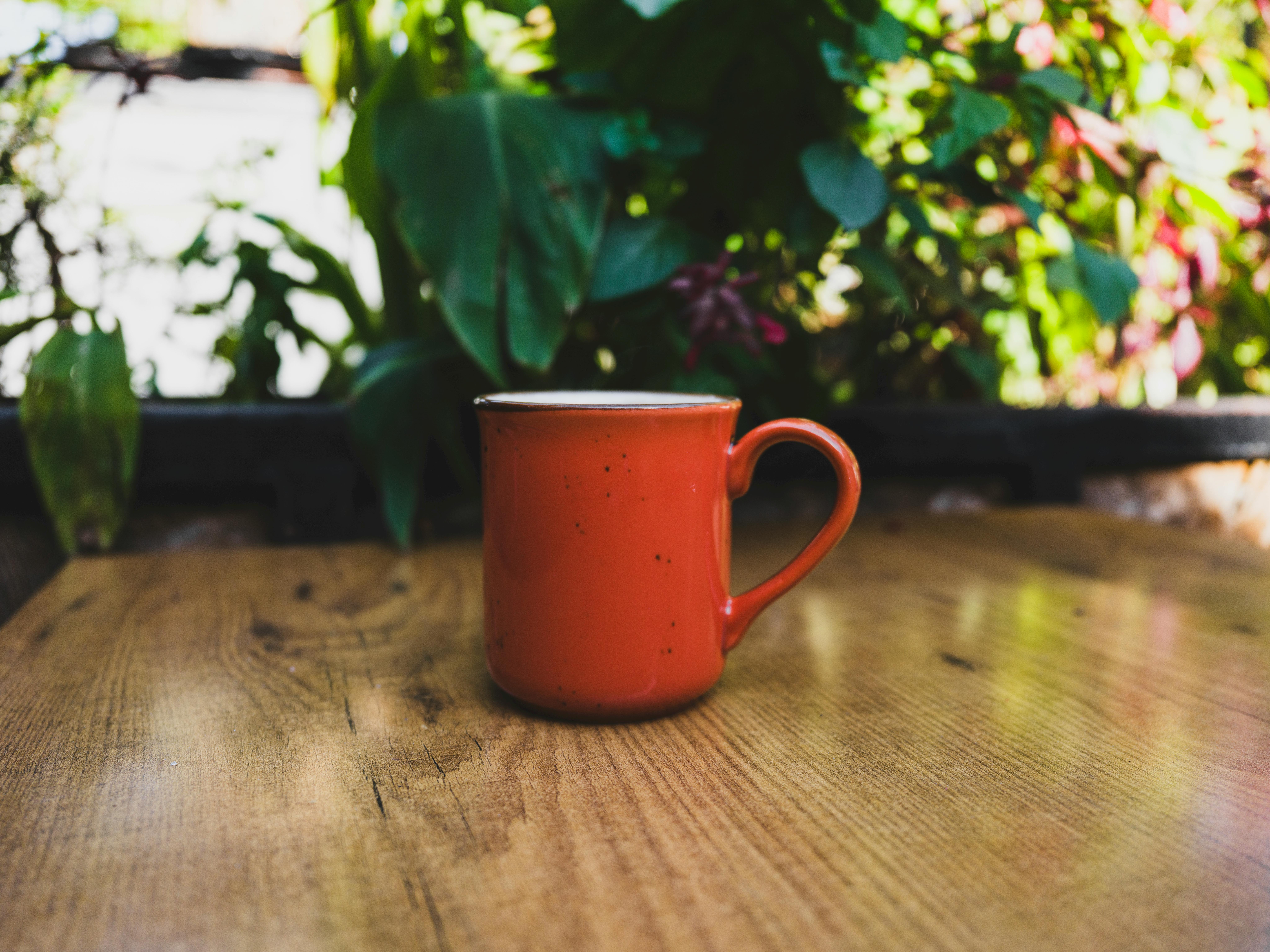 Gratis Tazza rossa su un tavolo di legno all'aperto con una vegetazione vivace sullo sfondo, che suggerisce un'atmosfera accogliente. Foto a disposizione