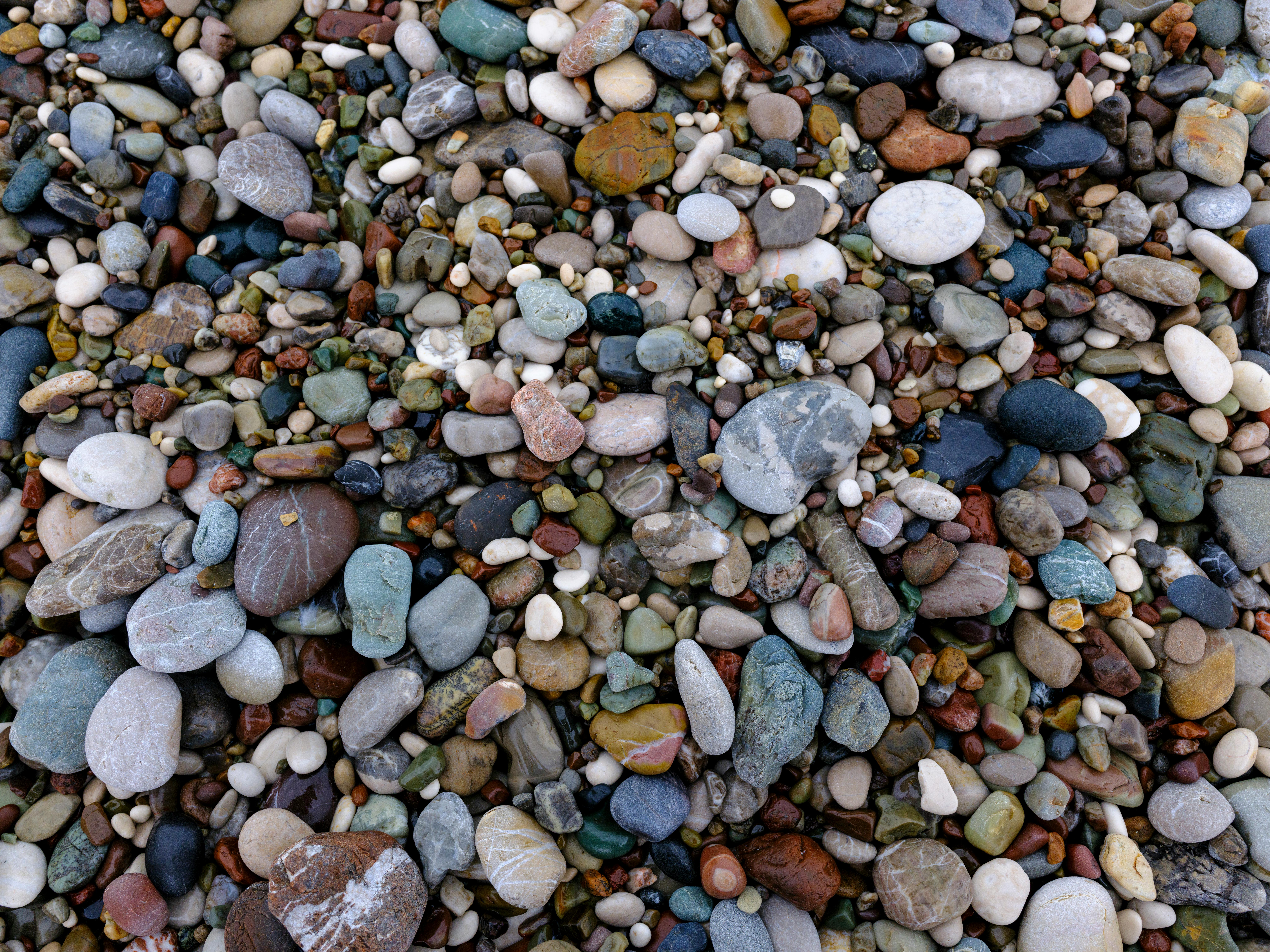 Gratis Una vivace varietà di ciottoli colorati su una spiaggia, che mette in mostra le texture naturali e la geologia. Foto a disposizione