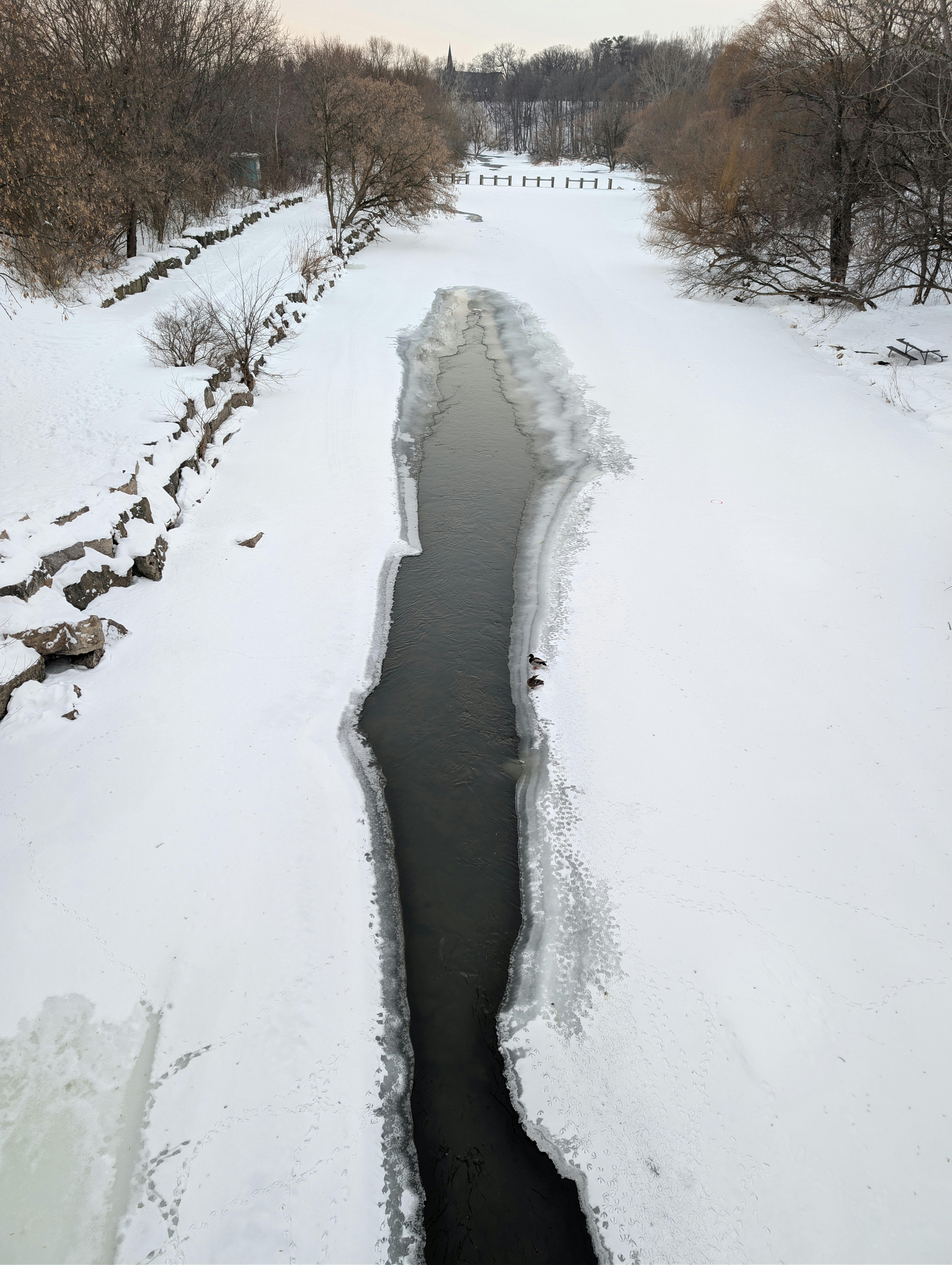 Ilmainen Rauhallinen talvinen jokimaisema lumipeitteisine rannoineen ja jäisine vesineen. Kuvapankkikuva