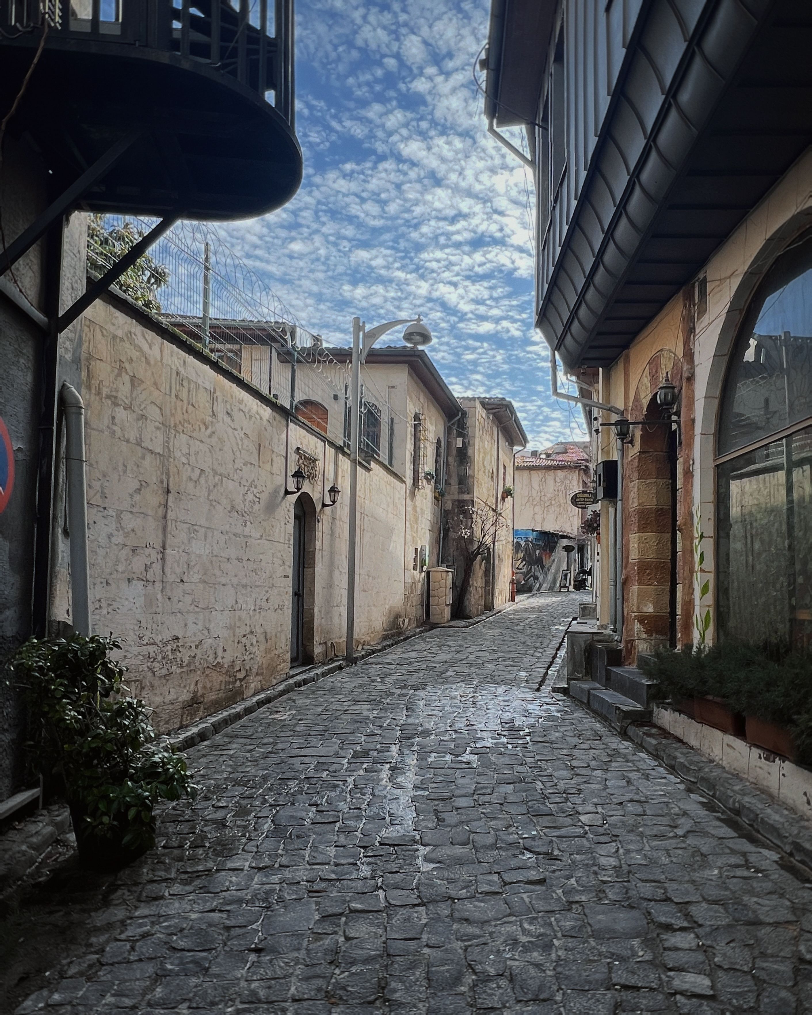 Charming Cobblestone Street in Historic District · Free Stock Photo